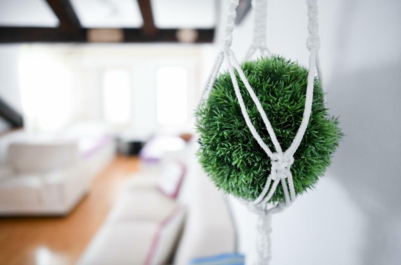 Apartments Bazilika ノヴァリャ エクステリア 写真